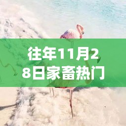 第1297页