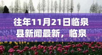 往年11月21日临泉县新闻最新，临泉县新闻最新动态，深度解析往年11月21日新闻资讯