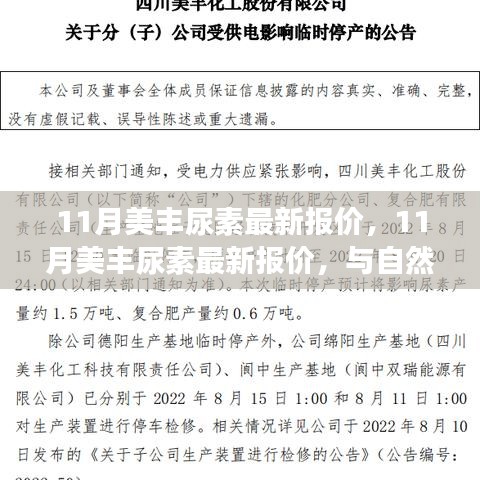 11月美丰尿素最新报价，与自然美景相遇，内心平和之旅的启程