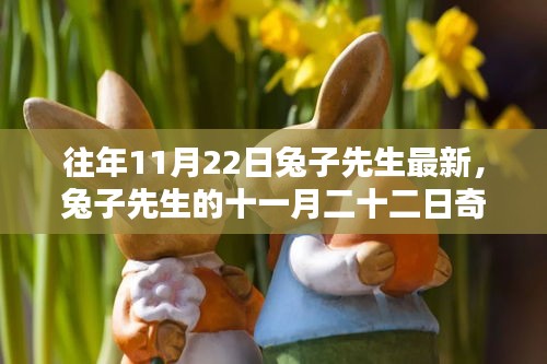 兔子先生十一月二十二日的奇遇记，友情、温馨与陪伴的力量