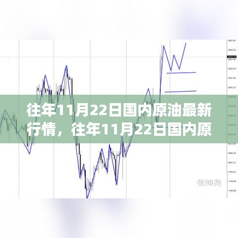 往年11月22日国内原油市场深度解析，行情走势、多方观点碰撞与个人立场阐述