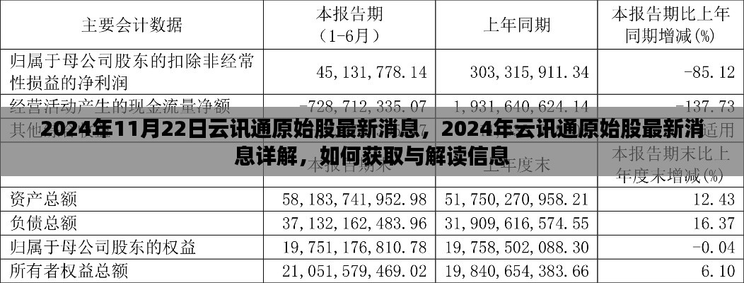 2024年云讯通原始股最新消息详解，获取与解读信息指南