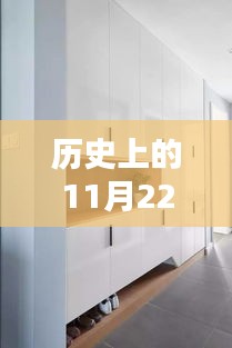 历史上的11月22日入户鞋柜新风尚，深度评测最新款式，引领潮流新风尚