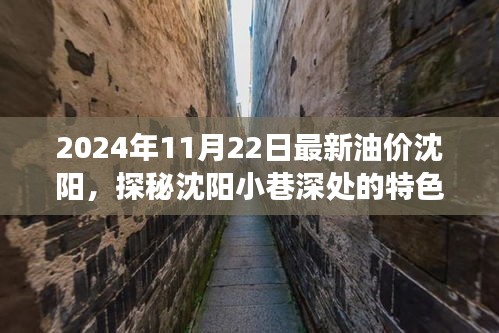 沈阳油价更新背后的故事，探秘小巷特色小店的魅力