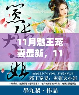 11月魅王宠妻最新，全面评测与深度介绍