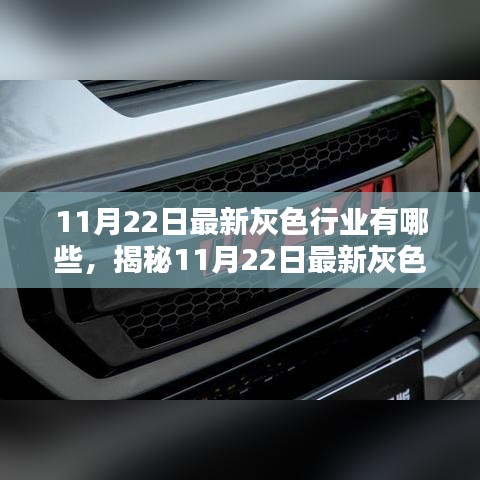 揭秘未知商业领域，最新灰色行业趋势与商业机遇（11月22日更新）