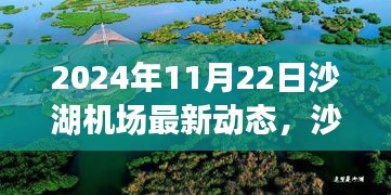 沙湖机场最新动态及未来展望，观点分析与展望（2024年11月22日）