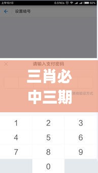 三肖必中三期必出凤凰网开,实地验证策略具体_更换版NBF1.73