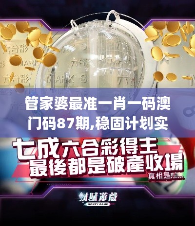 管家婆最准一肖一码澳门码87期,稳固计划实施_方便版BWF1.24