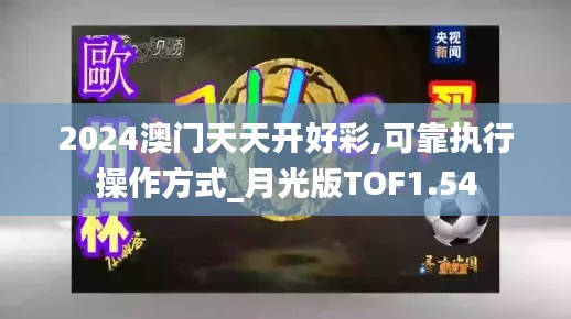 2024澳门天天开好彩,可靠执行操作方式_月光版TOF1.54
