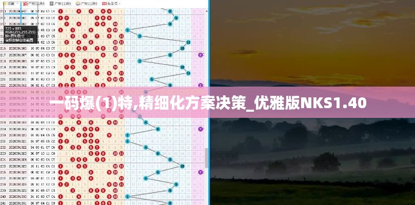 一码爆(1)特,精细化方案决策_优雅版NKS1.40