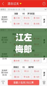 江左梅郎澳门正版资料2023年最新,实地数据验证_美学版HGA1.75