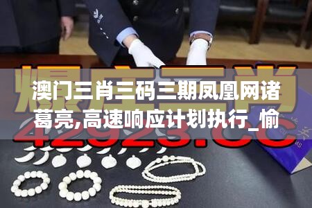 澳门三肖三码三期凤凰网诸葛亮,高速响应计划执行_愉悦版NBI1.96