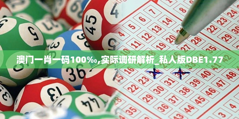 澳门一肖一码100‰,实际调研解析_私人版DBE1.77