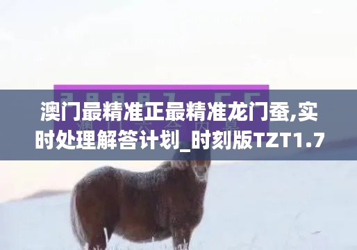 澳门最精准正最精准龙门蚕,实时处理解答计划_时刻版TZT1.7
