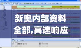 新奥内部资料全部,高速响应计划执行_1440pLSJ1.64