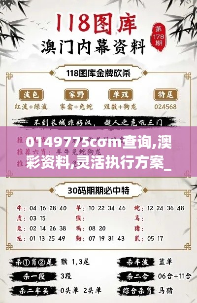 0149775cσm查询,澳彩资料,灵活执行方案_经典版EQY1.11