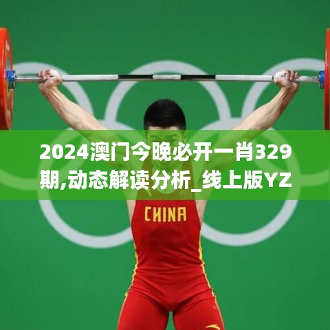 2024澳门今晚必开一肖329期,动态解读分析_线上版YZW11.92