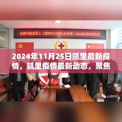 凯里疫情动态更新，聚焦要点，共筑防线（2024年11月25日最新消息）