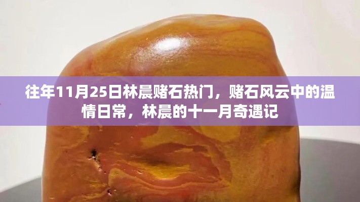 对开门 第288页