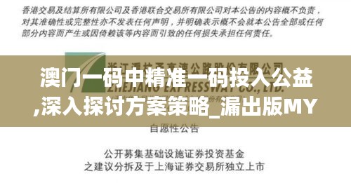 澳门一码中精准一码投入公益,深入探讨方案策略_漏出版MYY13.8