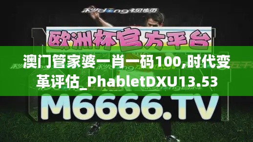 澳门管家婆一肖一码100,时代变革评估_PhabletDXU13.53