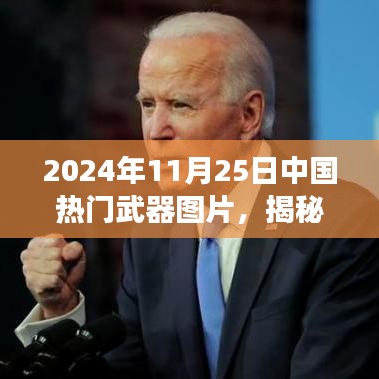 揭秘，中国顶尖武器图谱震撼亮相，引领全球军事变革新篇章（2024年11月25日）