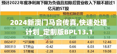 2024新澳门马会传真,快速处理计划_定制版BPL13.1