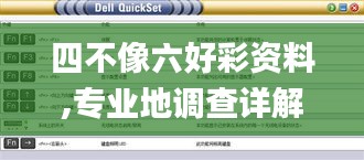 四不像六好彩资料,专业地调查详解_外观版FLE16.88