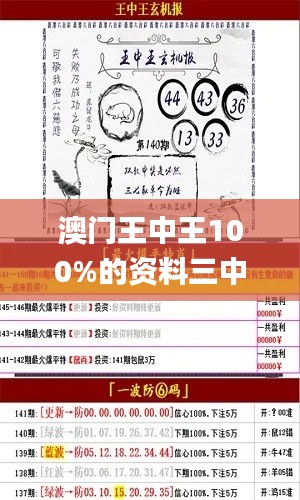 澳门王中王100%的资料三中三,实际调研解析_瞬间版NGQ16.1