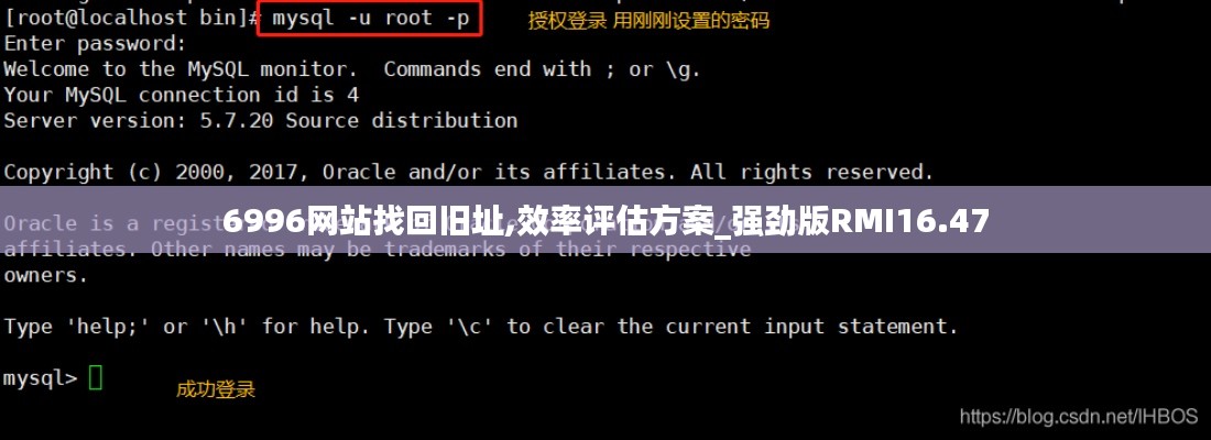 6996网站找回旧址,效率评估方案_强劲版RMI16.47