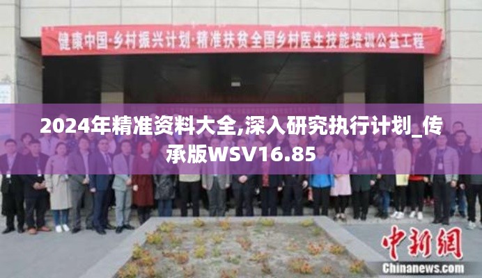2024年精准资料大全,深入研究执行计划_传承版WSV16.85