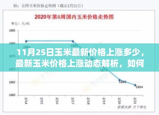 最新玉米价格上涨动态解析，如何应对市场变化与把握行情？