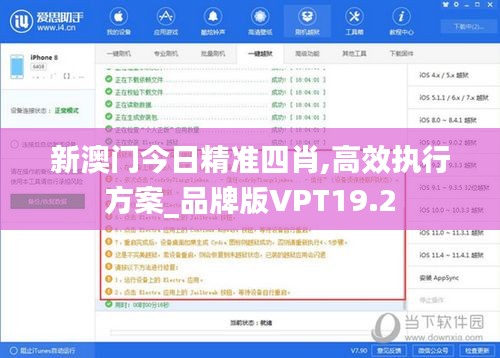 新澳门今日精准四肖,高效执行方案_品牌版VPT19.2