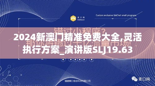 2024新澳门精准免费大全,灵活执行方案_演讲版SLJ19.63