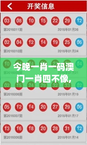 今晚一肖一码澳门一肖四不像,灵活性执行方案_未来版OAR19.50