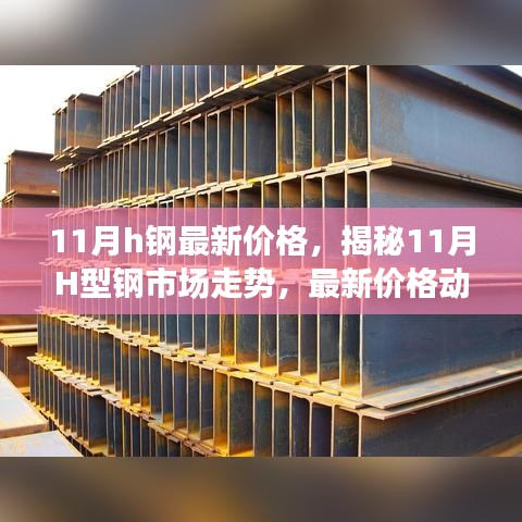 揭秘十一月H型钢市场走势，最新价格与行业洞察