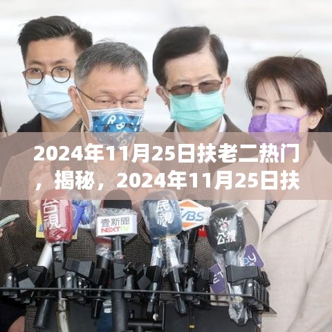 揭秘扶老二现象，2024年11月25日背后的热门趋势与故事洞察