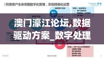 澳门濠江论坛,数据驱动方案_数字处理版AWN19.87