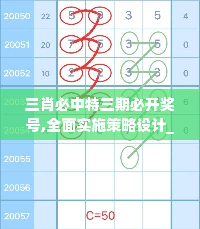 三肖必中特三期必开奖号,全面实施策略设计_移动版CBD19.82
