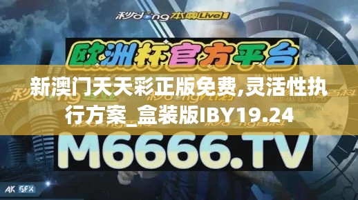 新澳门天天彩正版免费,灵活性执行方案_盒装版IBY19.24