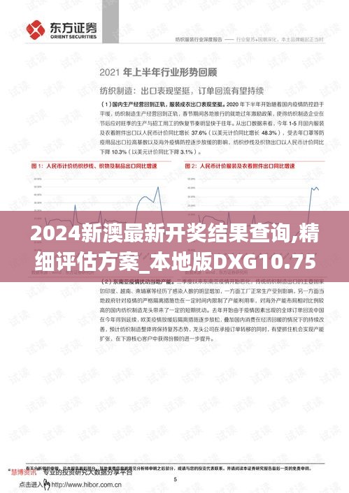 2024新澳最新开奖结果查询,精细评估方案_本地版DXG10.75