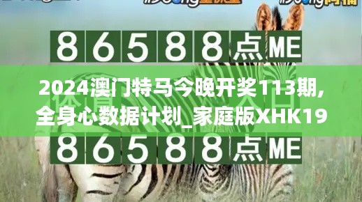 2024澳门特马今晚开奖113期,全身心数据计划_家庭版XHK19.37