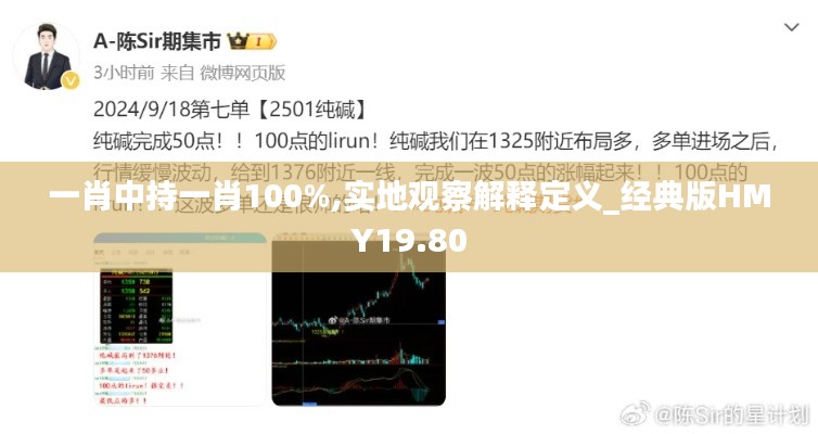 一肖中持一肖100%,实地观察解释定义_经典版HMY19.80