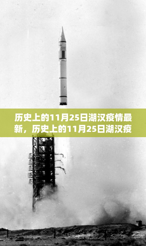 历史上的11月25日湖汉疫情最新进展及多方观点探讨
