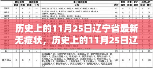 辽宁省历史上的无症状事件深度解析与观点视角探讨