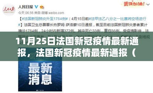 法国新冠疫情最新通报（日期标注，11月25日更新）