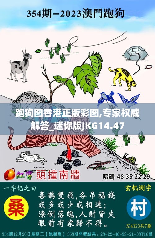 跑狗图香港正版彩图,专家权威解答_迷你版JKG14.47