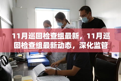 11月巡回检查组最新动态，深化监管，助推各领域稳健发展