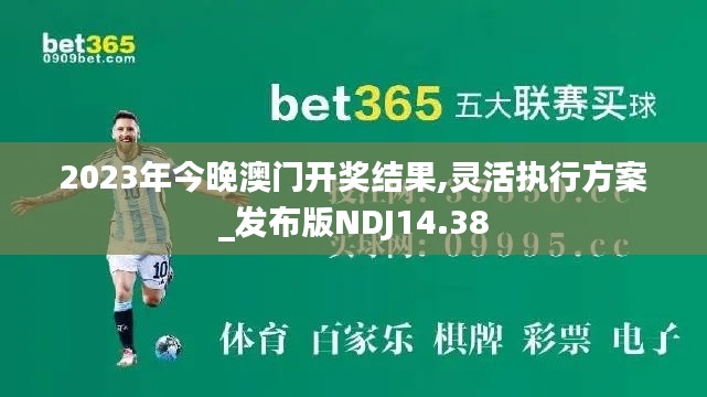 2023年今晚澳门开奖结果,灵活执行方案_发布版NDJ14.38